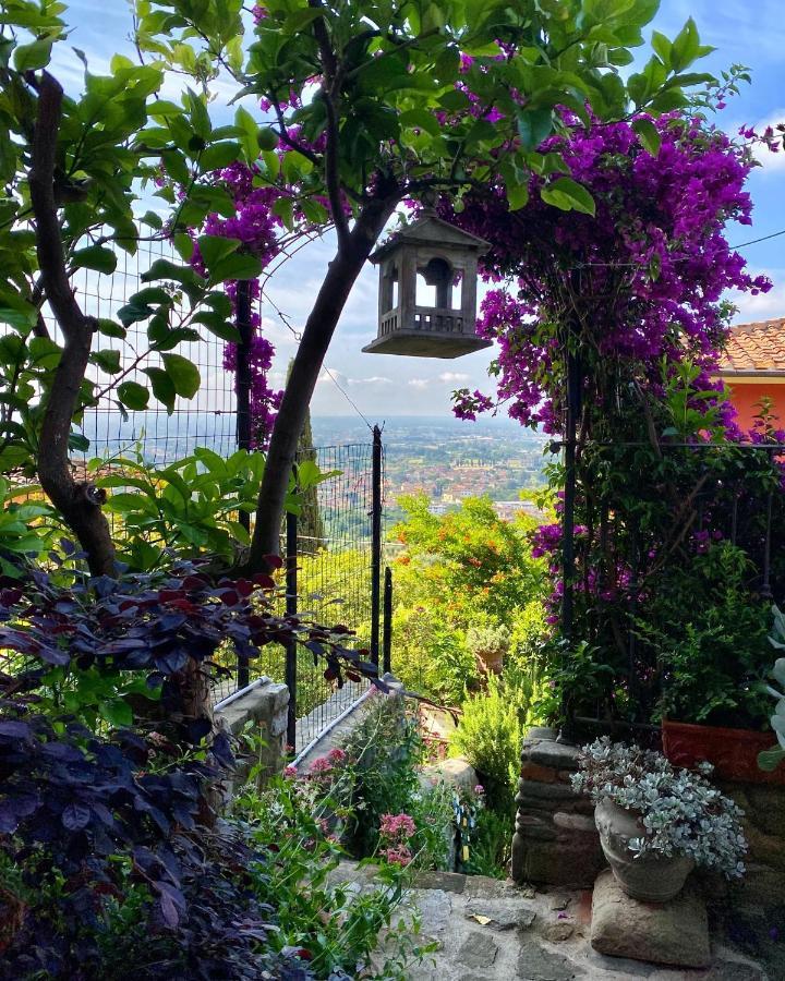 La Magione Dei Todaro Borgo a Buggiano Exteriör bild